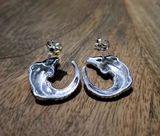 Pendientes Cocodrilo Plata