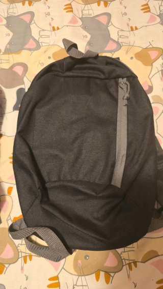Lote 4 mochilas Quechua