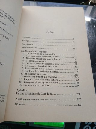 La Busqueda Del Despertar Esenciade Oro Puro