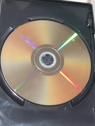 DVD En lo profundo del bosque