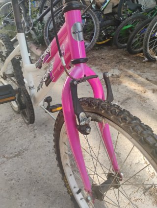 Bici infantil 20 en muy buen estado