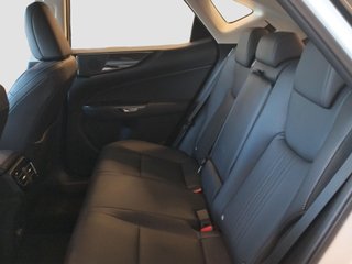 LEXUS NX 2.5 350H HEV PREMIUM+ 4WD AUTO 197 5P