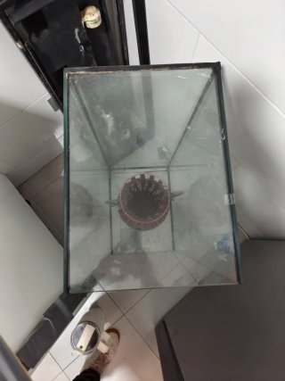 Pecera de cristal con jarrón decorativo