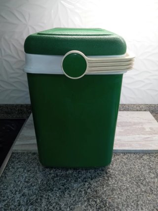 Nevera portátil verde