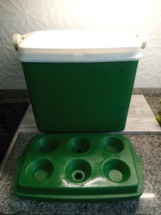 Nevera portátil verde