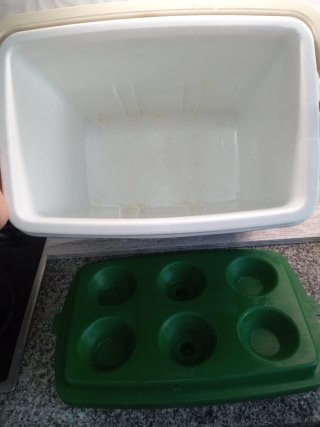 Nevera portátil verde