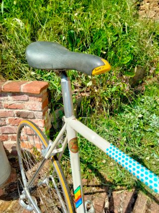 Bicicleta Laiz Clásica