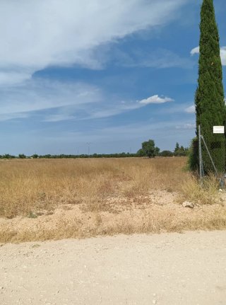 Parcela rústica en venta