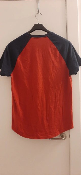Camiseta Hollister