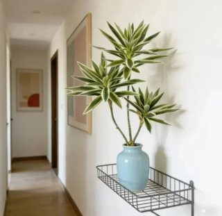 Planta Artificial Decorativa