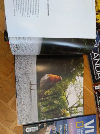 Dos libros de fotografía + regalo 4 revistas viaje