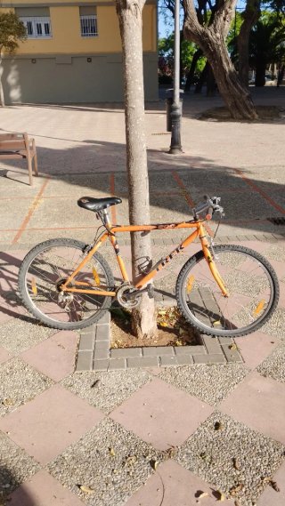 Bicicleta Trek y candado.