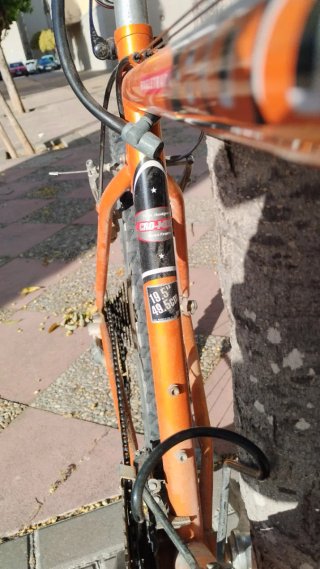 Bicicleta Trek y candado.