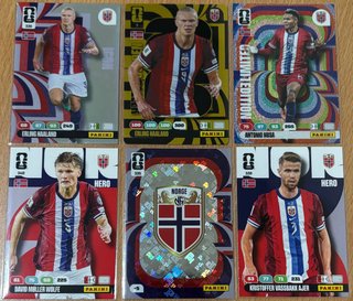 Cromos Fútbol Panini RDRENALYN XL FIFA WORLD CUP.