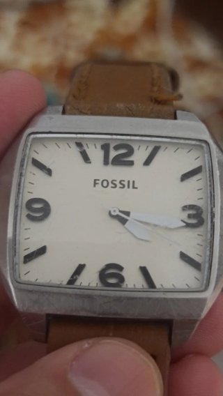 Reloj Fossil Elegante Marrón y Blanco