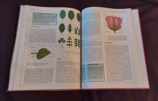 Libro Crisol Enciclopedia Escolar Biología botánic