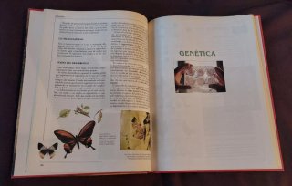 Libro Crisol Enciclopedia Escolar Biología botánic