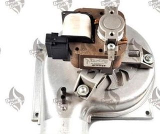 Extractor Caldera Roca Victoria 20-20 F