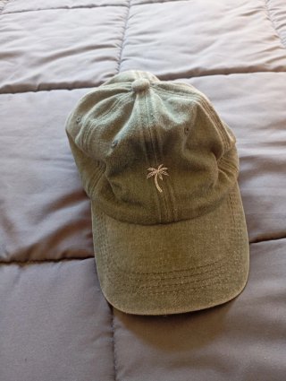 Gorra verde con palmera bordada