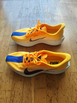 Nike Pegasus Plus Talla 45