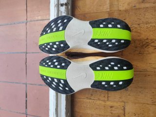 Nike Pegasus Plus Talla 45