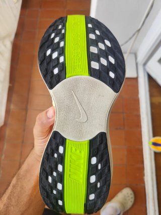 Nike Pegasus Plus Talla 45