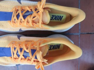 Nike Pegasus Plus Talla 45