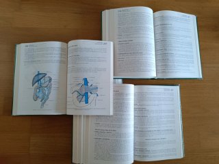 Anatomía humana descriptiva, topográfica y func...