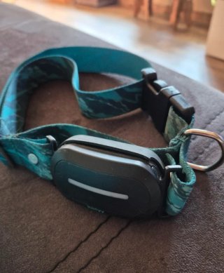 Kolyy Series 2 GPS Perro Grande