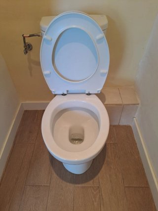 Taza WC Gala Blanca Porcelana