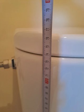 Taza WC Gala Blanca Porcelana