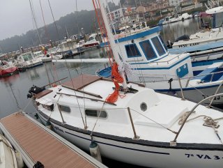 CAMBIO velero modelo SHARK 24  ITB 2024