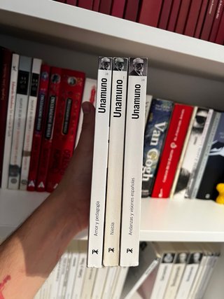 Lote Niebla, Amor y pedagogía y Andanzas - Unamuno