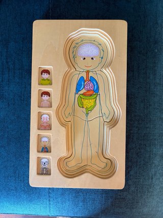 Puzzle Cuerpo Humano Madera
