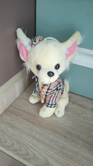 Peluche chihuahua