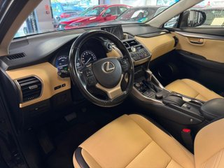 Lexus NX 2.5 300h Corporate 2WD + Navibox