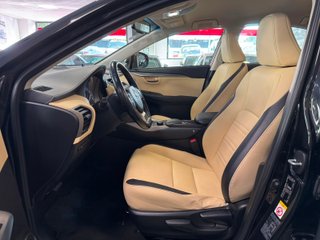 Lexus NX 2.5 300h Corporate 2WD + Navibox