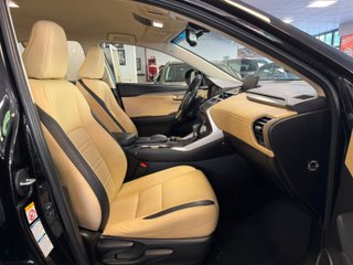 Lexus NX 2.5 300h Corporate 2WD + Navibox