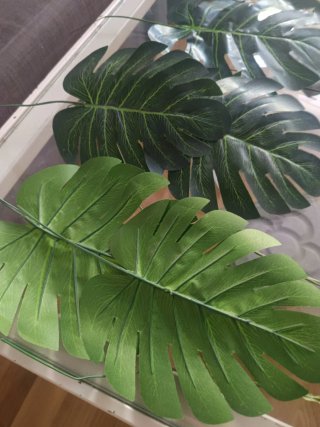15 Hojas Artificiales Plantas Decoración