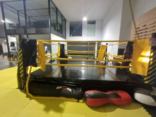 Ring de Boxeo 4x4
