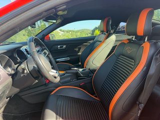 Ford Mustang ACEPTO COCHE