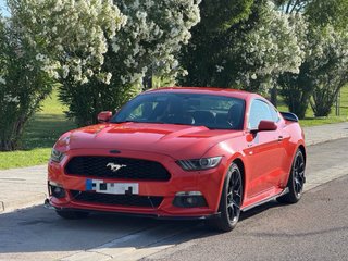 Ford Mustang ACEPTO COCHE