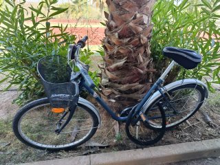 Bicicleta azul con cesta, recién revisiónada
