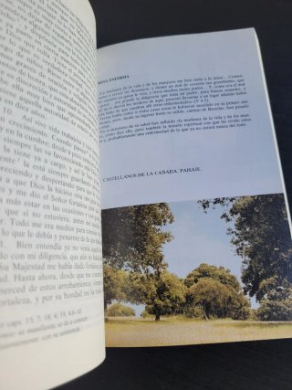 Libro de la vida