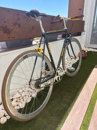 Bicicleta Fixie Verde