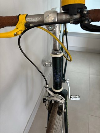 Bicicleta Fixie Verde
