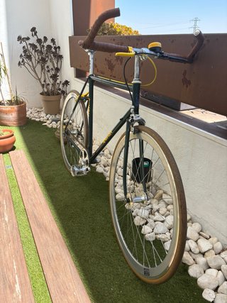 Bicicleta Fixie Verde