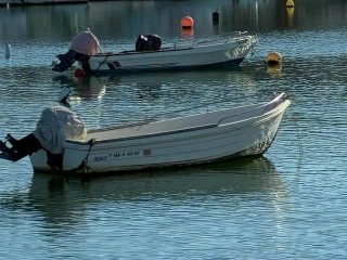 Barco 4,40m con motor fueraborda 40cv Suzuki