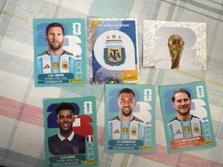Cambio Cromos Panini Mundial 2026 Messi.