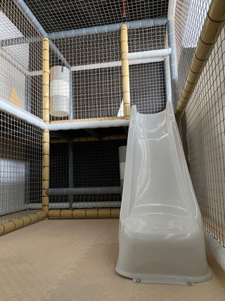 Parque de bolas infantil personalizado